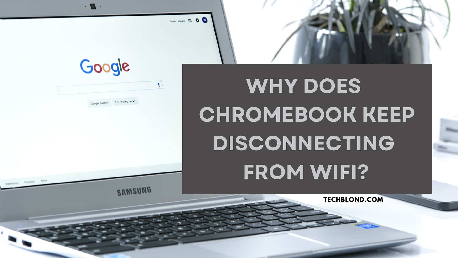 Why Does My Chromebook Keep Disconnecting from Wifi